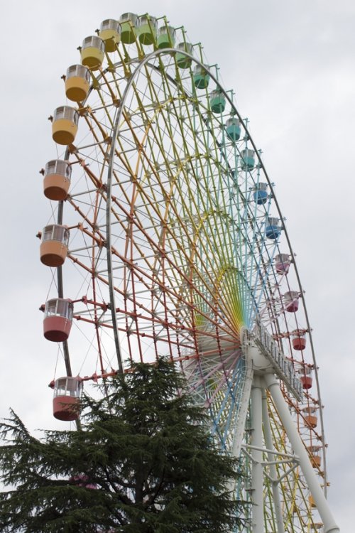 FerrisWheel.thumb.jpg.d9fb2b575366432a01fb2ba8de588aef.jpg