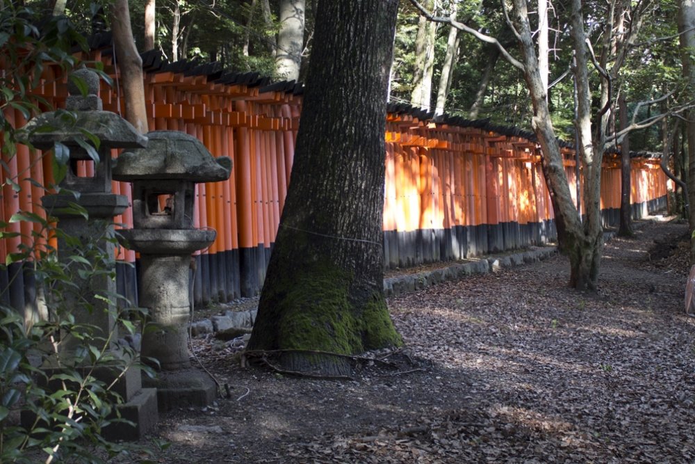 FushimiInariGates4.thumb.jpg.1d8f59ea5d55d3e324a904c4006583df.jpg