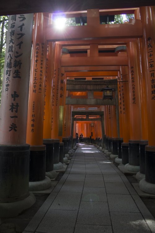 FushimiInariGates5.thumb.jpg.7e4af379b8804065174b19d8b1bf5495.jpg