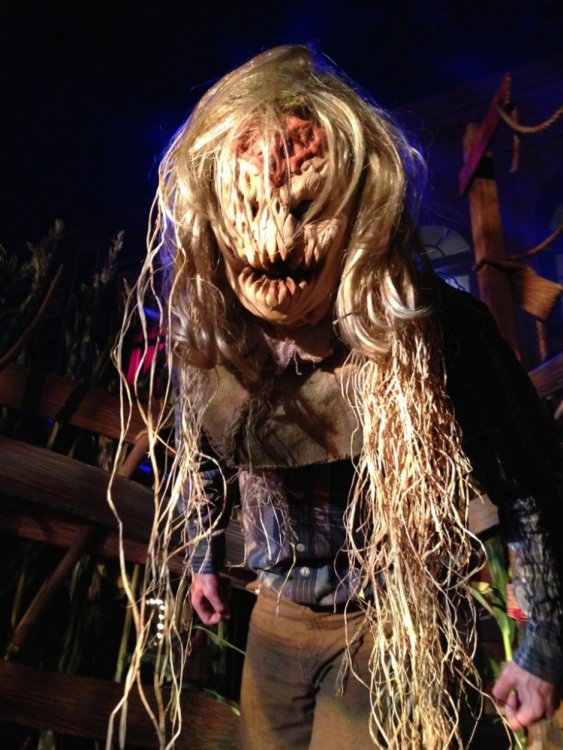 HHN_2014_49.thumb.jpg.41a73bd7446e4153f85040f8ec784bd3.jpg