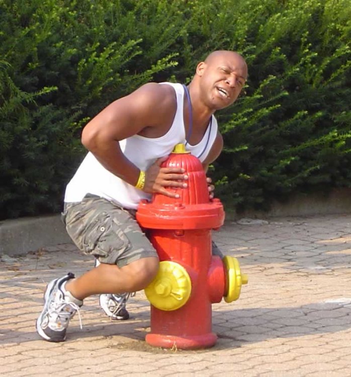 HydrantThemeCredit.thumb.jpg.aa86e3eb3366b1ffac99e24195c65d09.jpg