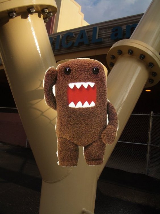 IMGP1697domo.thumb.jpeg.fa2da9093ebae2688b23c13c201e7077.jpeg