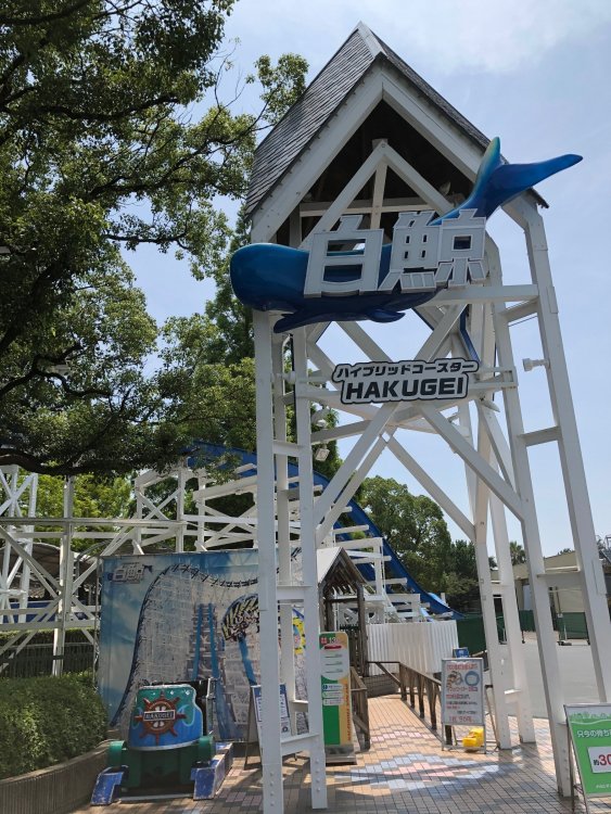 The new star of the park, Hakugei!