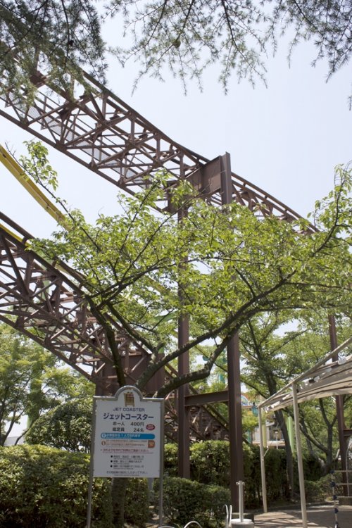 JetCoasterSign.thumb.jpg.920cb9efef5b4d485e321acc369c405e.jpg