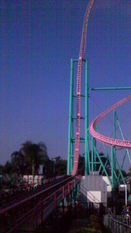 Knotts_70.thumb.JPG.5f4142fb5bce4c5d719a483b6fedc525.JPG