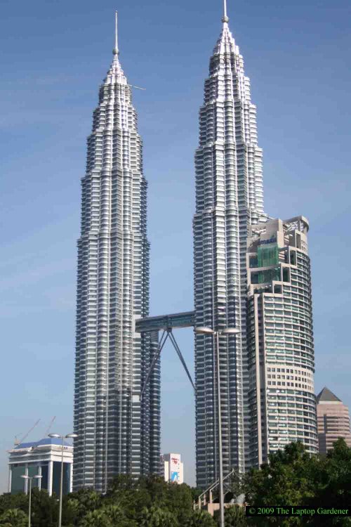 Malaysia1.thumb.jpg.95668acfcc593e645d6ce983f52919df.jpg