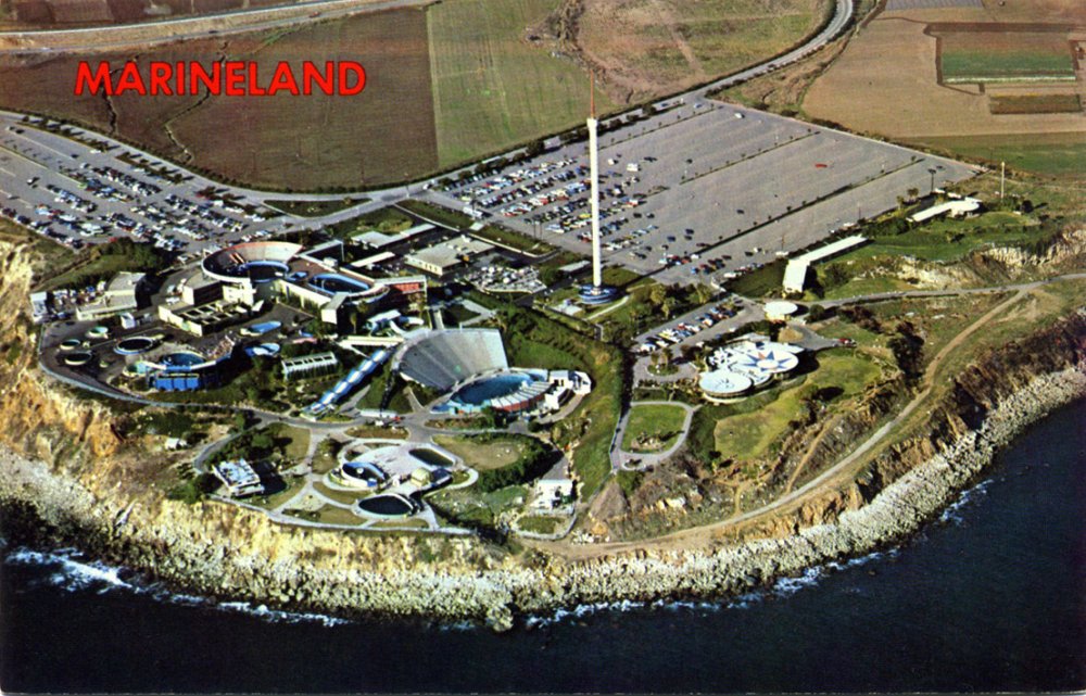 Marineland_of_the_Pacific_CA_H4049.thumb.jpg.598be5c7ba6fab744a1cf646d354ade6.jpg