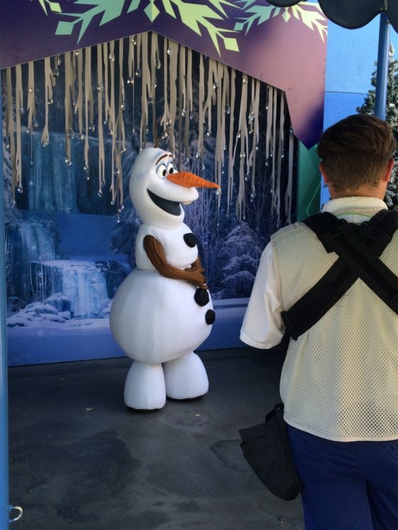 Olaf.thumb.JPG.04d8fd270191a533bb9d00f8685f668b.JPG