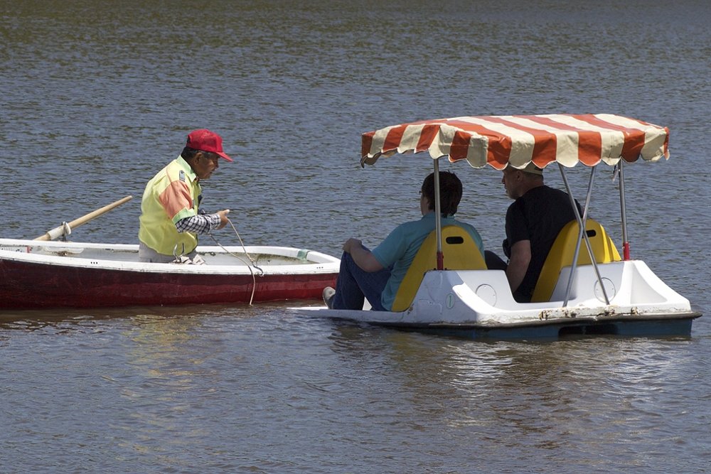 PedalBoats6.thumb.jpg.13b162a5903806d554674b69036fe3ff.jpg