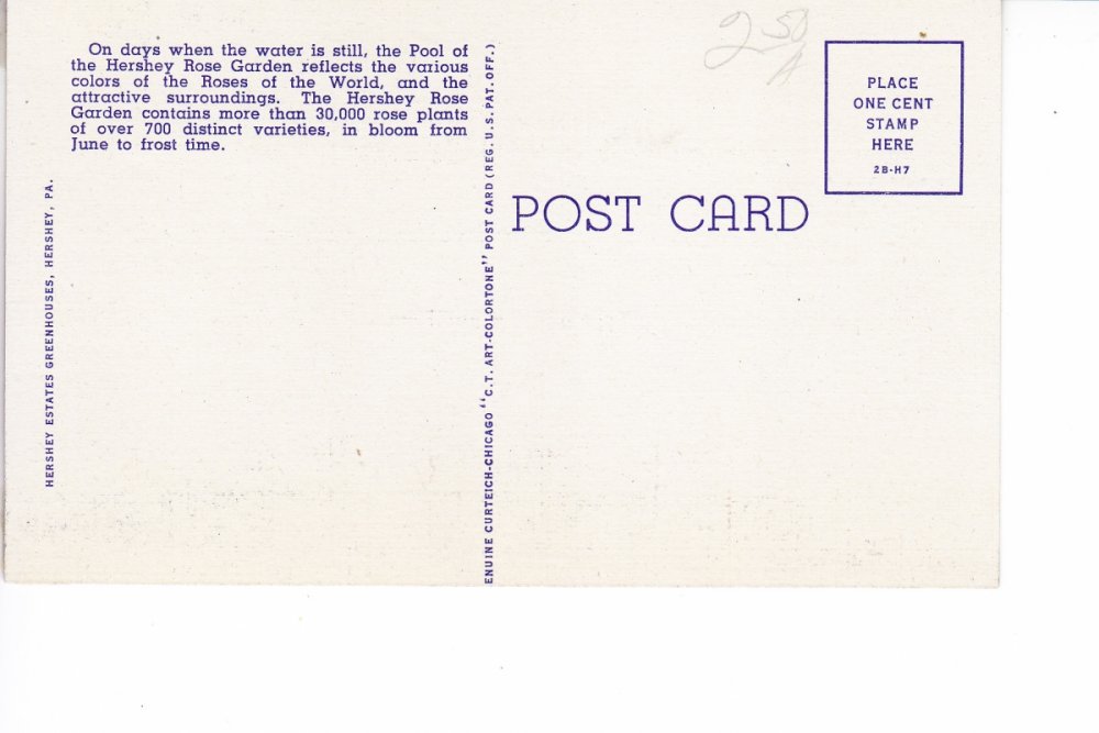Postcards_0009.thumb.jpg.5333d88cdd9c7d81cc22742574a3bcc2.jpg