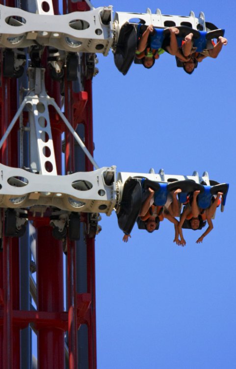 SFMM-X2-(TD)-13.thumb.jpg.964e3ab768952e3eedab31e5ddbe6626.jpg