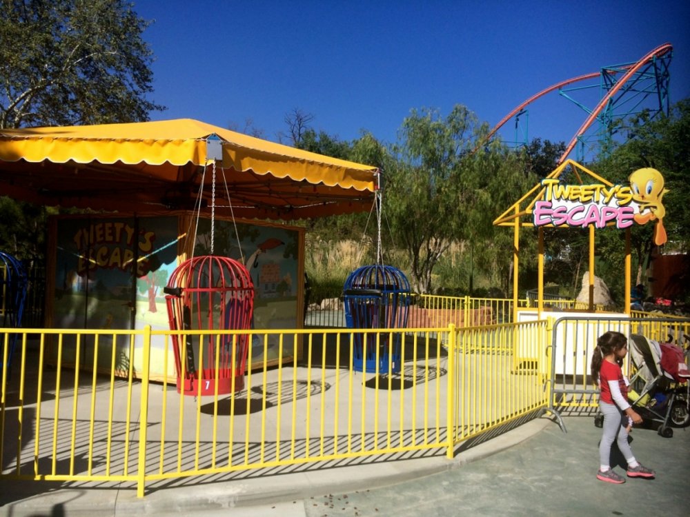 SFMM_feb23_08.thumb.jpg.1656afa856c6ba347cabcaf9655d4e1f.jpg
