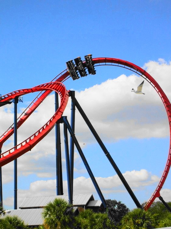 Sheikra2.thumb.jpg.26298b48e67661f675f37ed4be3b8eec.jpg