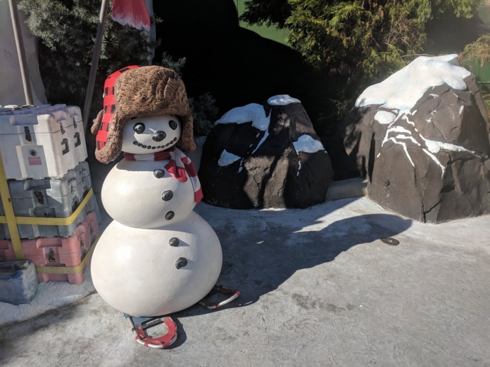 Snowman.thumb.jpg.4886339d8d035b731da4c2213c355adb.jpg