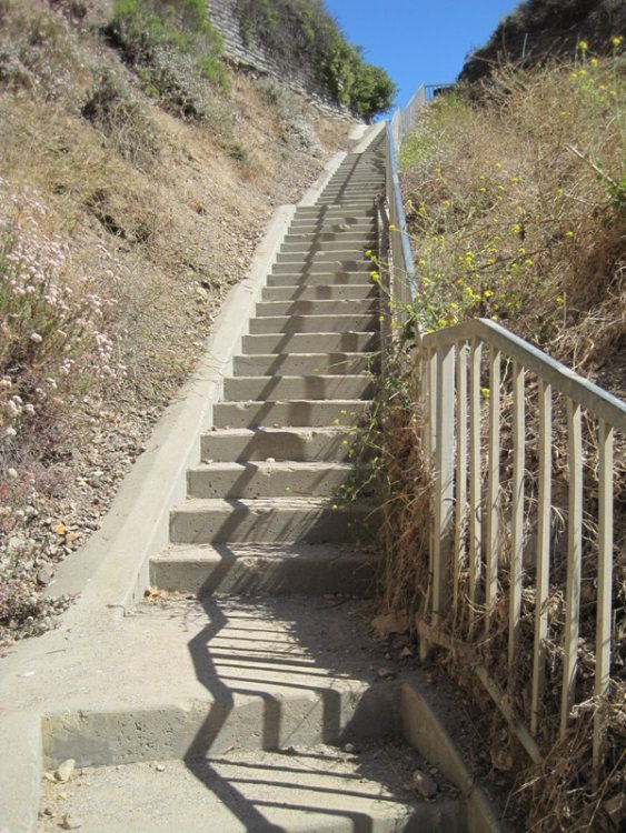 Stairs.thumb.JPG.3aec902cfcd9705fcb8516233d0f977d.JPG