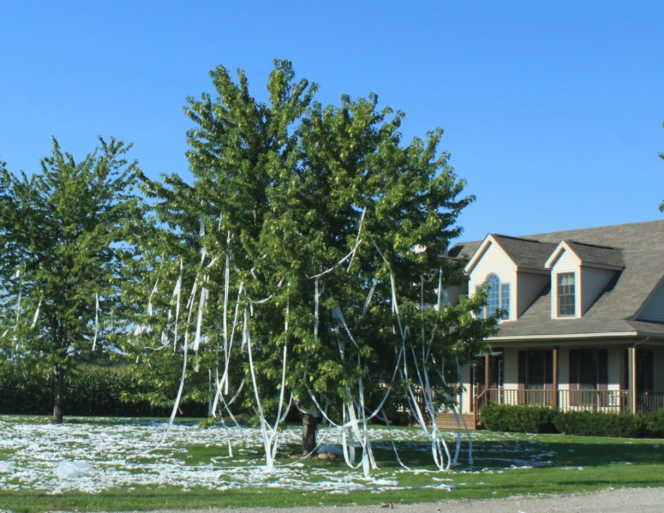 Toilet_papered_residence_Deerfield_Michigag_reduced.thumb.jpg.3a88e04320d02ef3cbe736d1e0b8b56f.jpg
