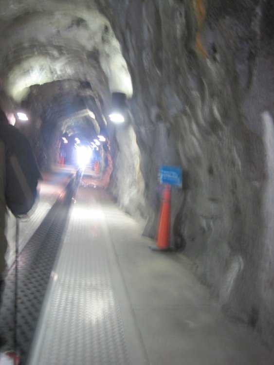 Tunnel.thumb.JPG.b5aac5261f5bee0ab27f19634a41531e.JPG