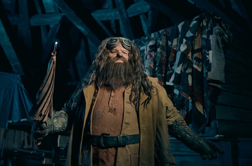 Universal-Orlando-Resorts-Most-Life-Like-Animated-Figure-Hagrid-1440x950.thumb.jpg.c759b35537edc1141d2b8858a6839115.jpg