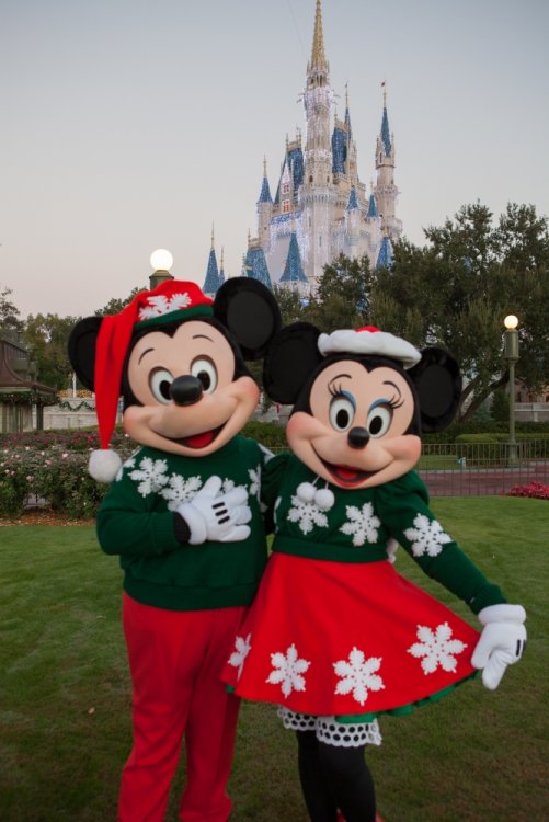 WDW_holiday_2013_11.thumb.jpg.88bb50012d1e1884be3a7840058f92d9.jpg