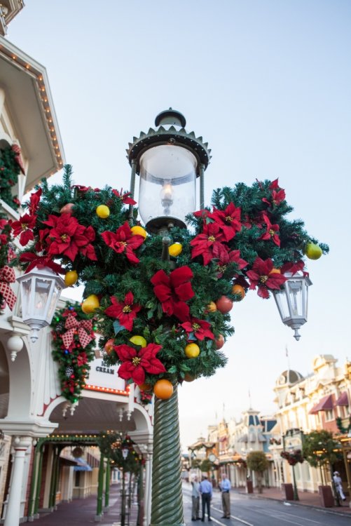 WDW_holiday_2013_13.thumb.jpg.496fb7bd7513d3fdae59b8fce158b7bd.jpg