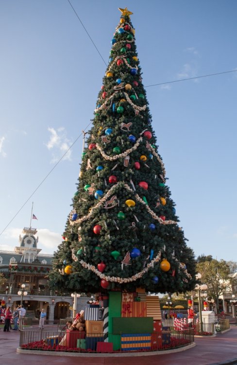 WDW_holiday_2013_17.thumb.jpg.1f6f5957a2d1cdfd1c5271e5f14eb850.jpg