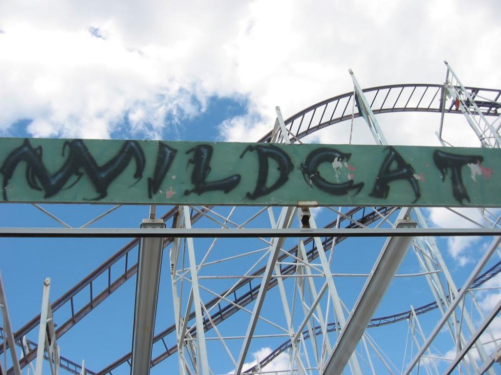Wildcat.thumb.JPG.f1c935f88e9905b7bf55926bbae445da.JPG