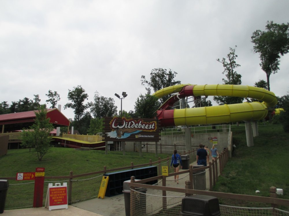 Wildebeast.thumb.JPG.52845c4bd852c936bed84269995bf0fa.JPG