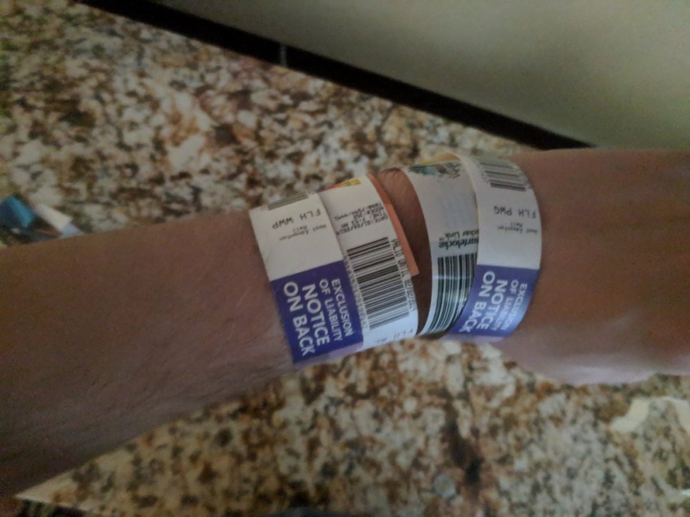 Wristbands.thumb.jpg.42cf4b6642f2a600e3f388be0b63a912.jpg