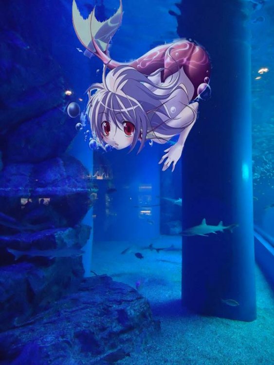 aquarium.thumb.jpg.46fa0b951fc8230fdfc1a666359eae9c.jpg