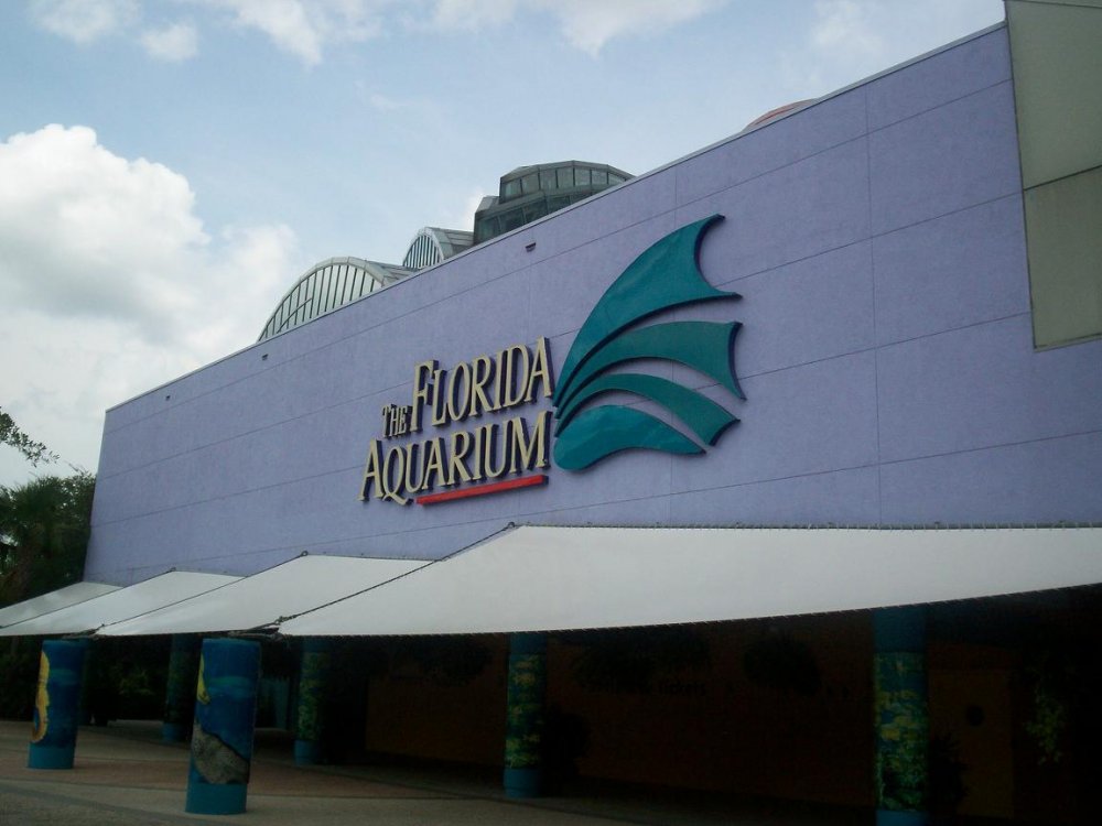 aquarium.thumb.jpg.e70551702b4d5905160e196d18e7c972.jpg