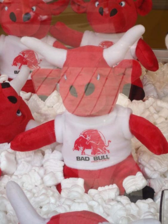 badbull.thumb.jpg.230c9c55b040b459e1e32c3e7202e1f5.jpg