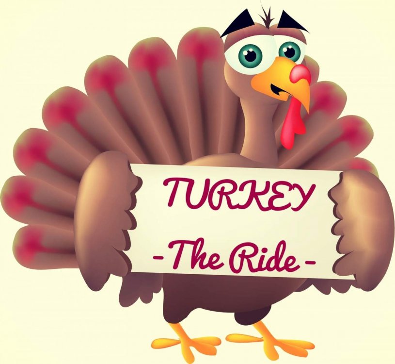 bigstockphoto_Turkey_With_A_Sign_3770193.thumb.jpg.43547a06e7b0a87734124c7320bf6368.jpg