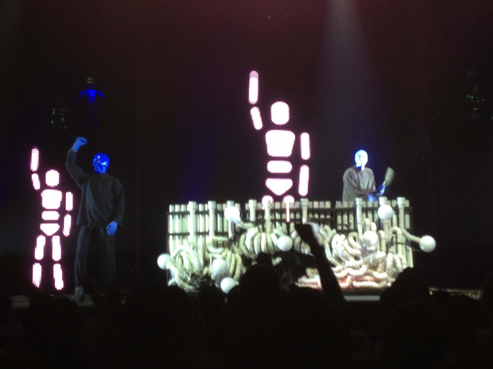 bluemangroup_09.thumb.jpg.3c1e3b93b70bd2b57cff511f7530ca22.jpg