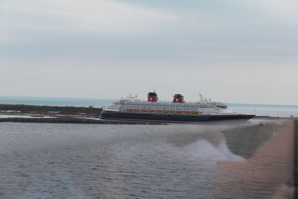 cruise116.thumb.jpg.cde43109d48b98a6c7cf3f5573ee8d57.jpg