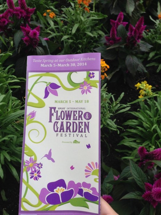 epcot_flower_garden_2014_01.thumb.jpg.fadadda8312b1b17922f29e3242d5fe8.jpg