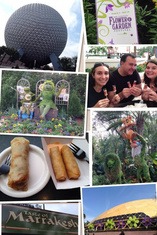 epcot_flower_garden_2014_18.thumb.jpg.8051a91b0361174a0af6b1ed3bcf23dc.jpg