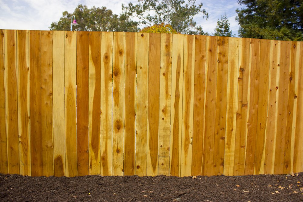 fencetheattraction.thumb.jpg.b092bb22f27a8de81e5612c27c884efe.jpg