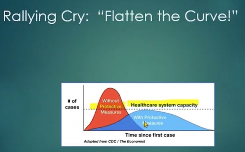flatten-curve.thumb.jpg.cc693a7b9b89f60fd3d71af0c06ed2eb.jpg