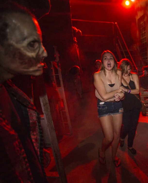 hhn_2013_52.thumb.jpg.87ba52d6f2e237b2b161260cb8f4c91e.jpg