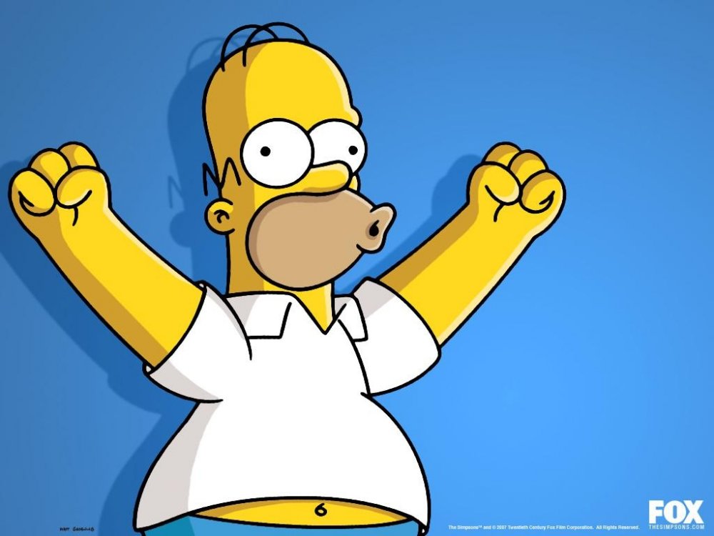 homer-simpson.thumb.jpg.ddf1f7b21566e4bafc6c1910d31a6a64.jpg