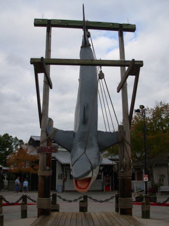 jaws_80a.thumb.jpg.f5fed7628b607dba7ecfbe1dddaa9379.jpg