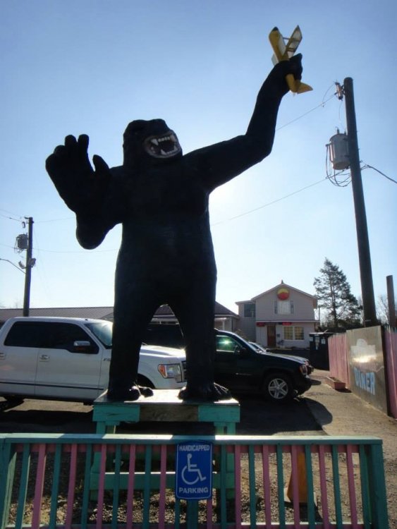 kingkong.thumb.jpg.cdaaf7d15268bb7943b086acbb8812bb.jpg