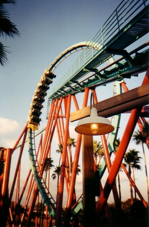 kumba10001.thumb.JPG.c154a954c855d4d243df972df87ec9c3.JPG