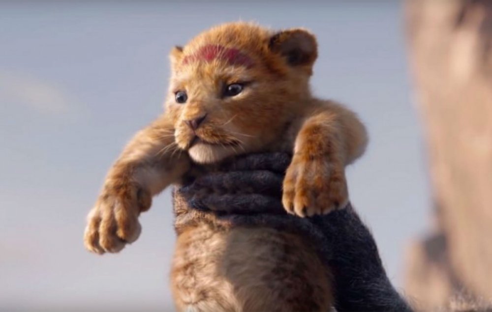 lion_king_reboot-screengrab-h_2018.thumb.jpg.778bc64e70d58756133c182cf39f6912.jpg