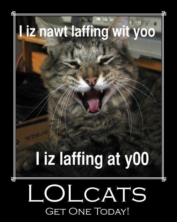 lolcatposter.thumb.jpg.bdc032cb75727b81471d95d287a40f3f.jpg