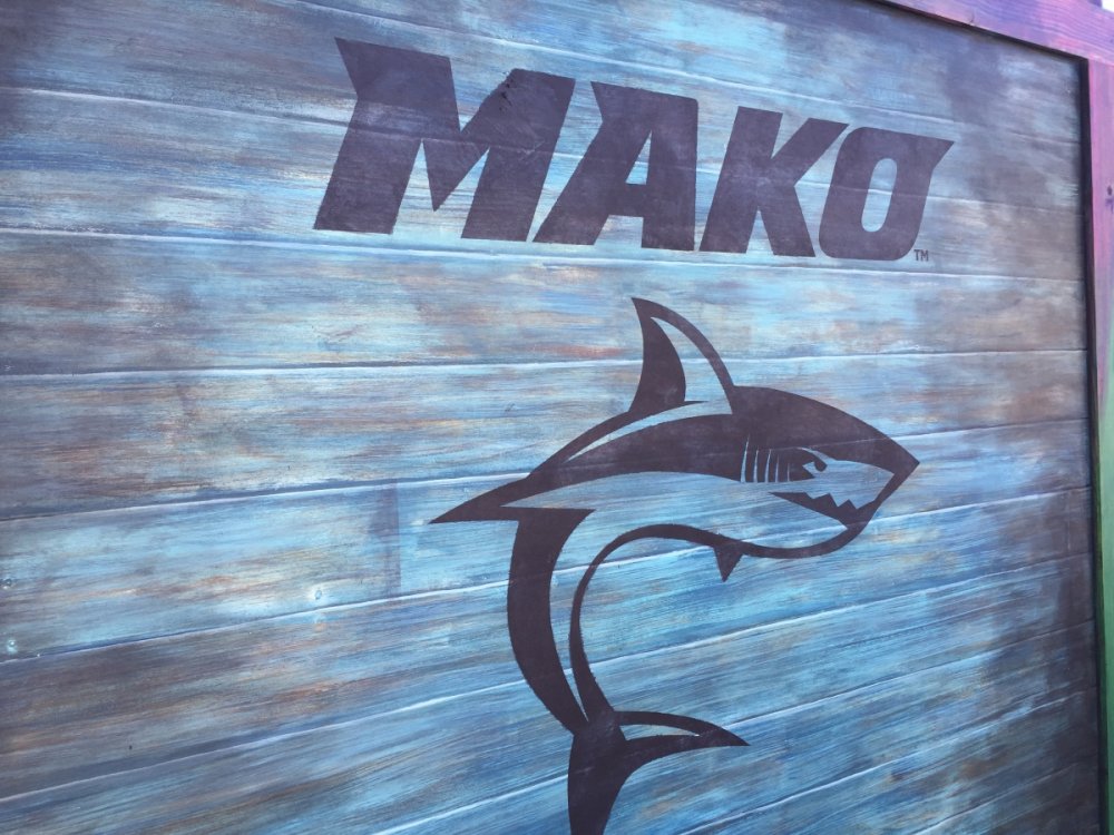mako22.thumb.jpg.04a50b499ba3c6f65fa56834ea6f8849.jpg