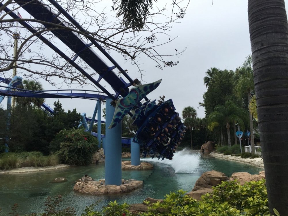 Photo TR: Busch Gardens Tampa, SeaWorld Orlando, and More! - Theme ...