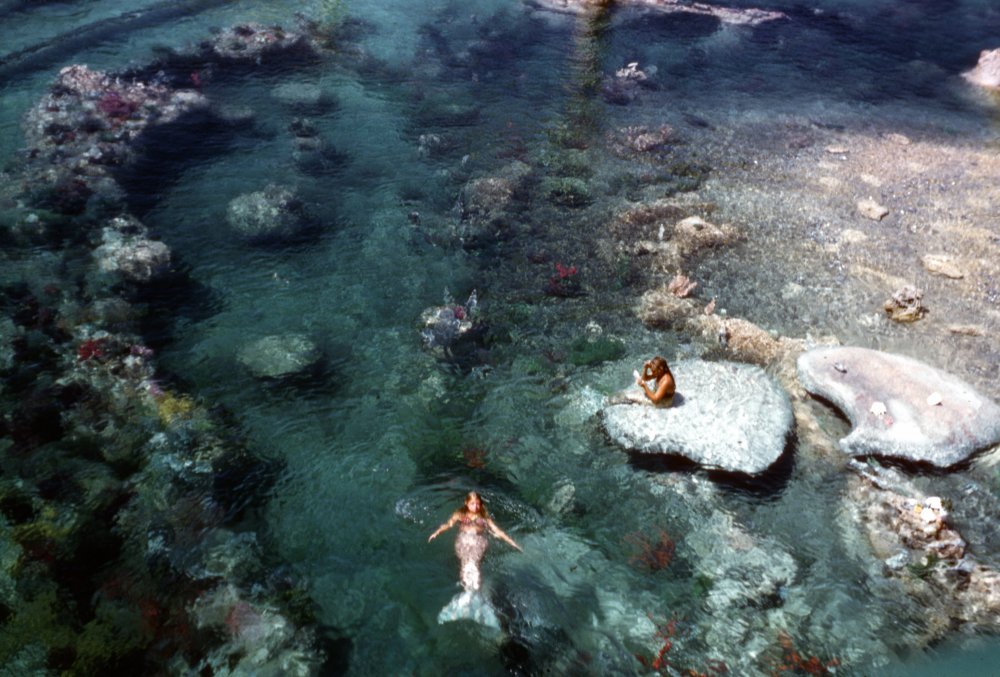mermaids.thumb.jpg.399728bf2422dba0dac581a19f925b35.jpg