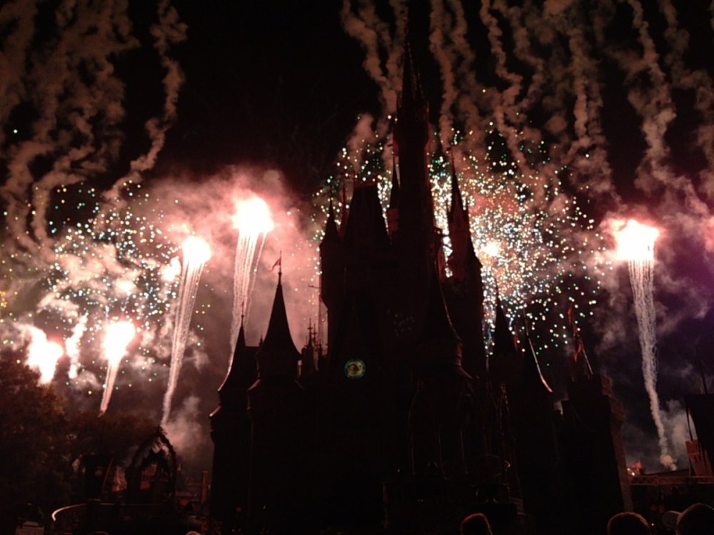mnsshp_2014_42.thumb.jpg.fa2550899900f943bb04fdd39913774c.jpg