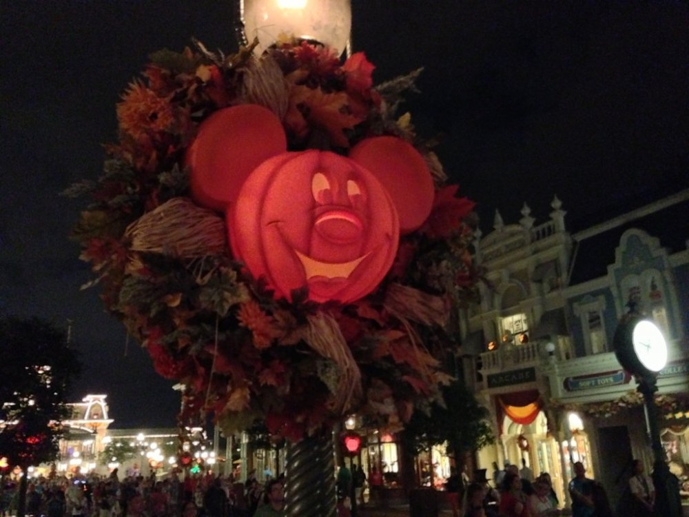 mnsshp_media_35.thumb.jpg.3a487efaa388498313bb06fb5053594a.jpg